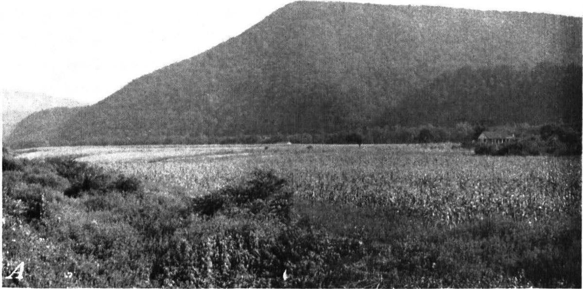 The Juniata flood plain near Ardenheim, from the 1944 federal soil survey of the county.