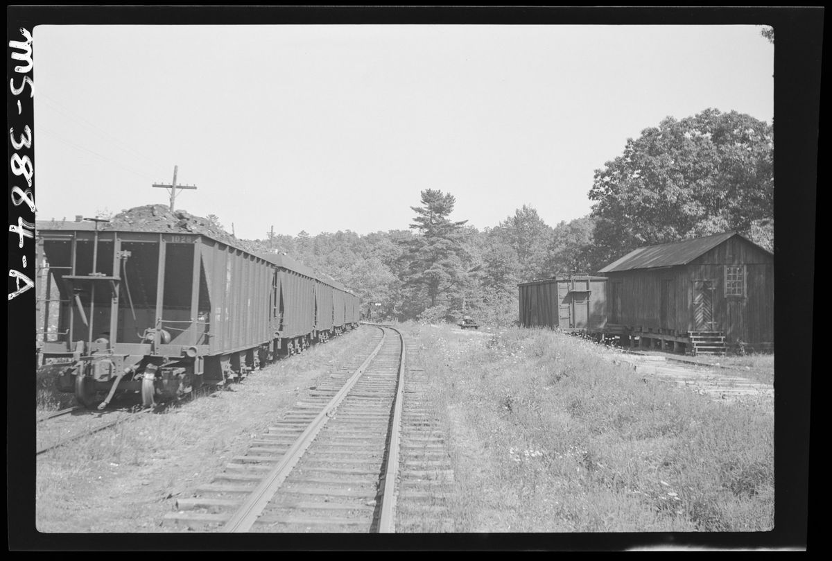 Loaded coal cars at Robertsdale, 1946.
