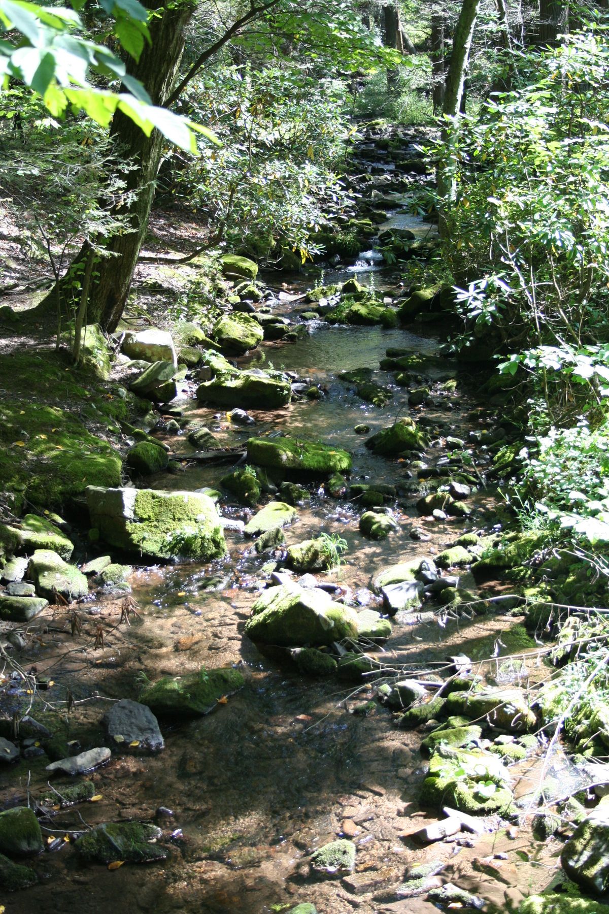 Shaver Creek near the Shaver's Creek center in Stone Valley, Barree Township, September 2009.